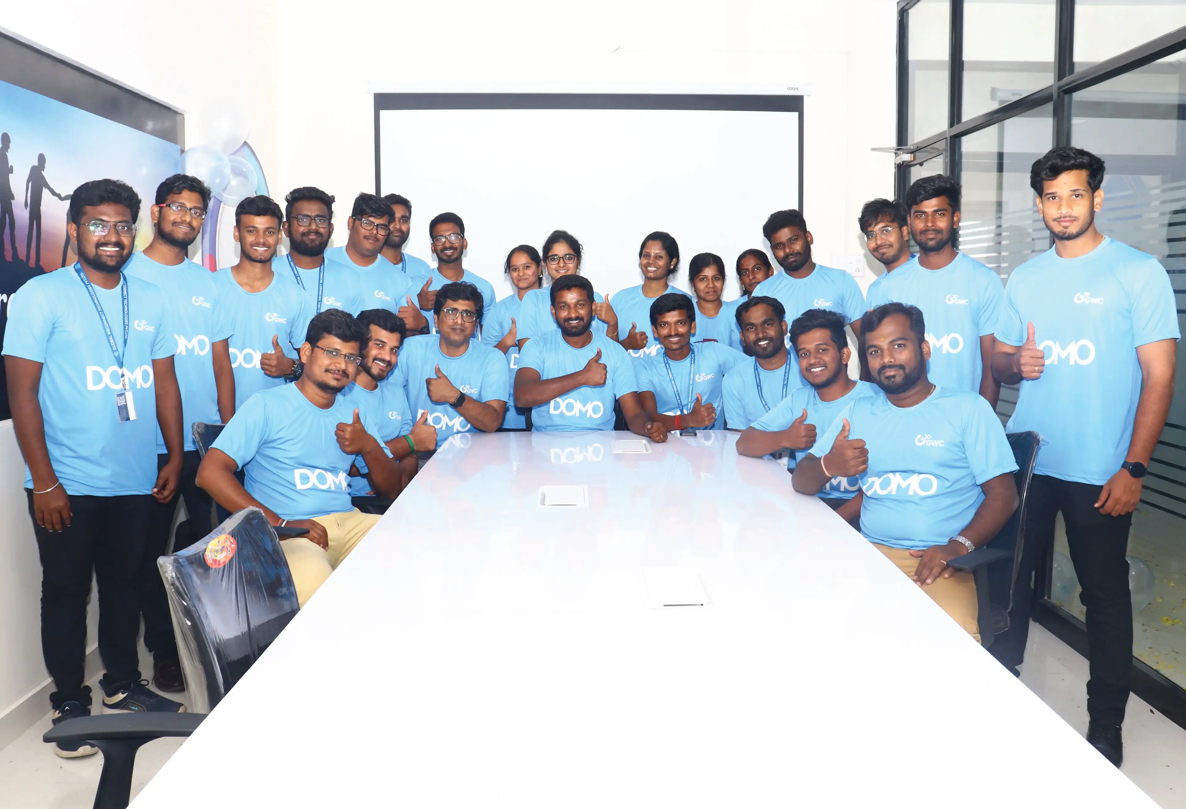 Domo Partner Team 7